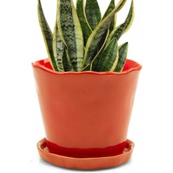 Chive ‘Tika’ Ceramic Planter Pot — Cute Beautiful Plant Pots for Indoor & Outdoor Flowers & House Plants — Large 8" x 7.5" — Orange