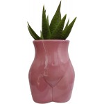 Cute Body Shaped Ceramic Succulent Cactus Air Plant Body Art Modern Flower Pots Planter Plant Not Included Half-Length Rose Pink