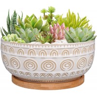 Eightpot 8 Inch Ceramic Succulent Planter Pot with Drainage Hole and Saucer Round Shallow Planter for Indoor Plants White