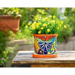 ENCHANTED TALAVERA Ceramic Flower Pot Succulent Planter House Plant Cactus Bonsai Decorative Pot Plant Container W  Drip Dish Saucer 2-Piece Set Orange