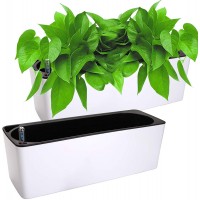 Fasmov 2 Pack Rectangle Self Watering Planter with Water Level Indicator Window Gardening Box Decorative Planter Pot for All House Plants Flowers Herbs Modern Decorative Planter Pot 16x 5.5 Inch