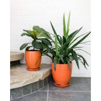 Gardenuity Ceramic Flower Pots and Garden Planters Orange Indoor Plant Pots Outdoor Planter Small