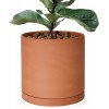 Large 10 Inch Terracotta Plant Pot with Drainage Hole and Saucer Round Cylinder Planter Pot for Indoor Plants 40-B-L-1