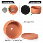 Low 10 Inch Succulent Terracotta Shallow Pot with Drainage Hole and Saucer Round Cylinder Planter Pot for Plant Flower 41-B-L-1