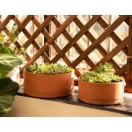 Low 10 Inch Succulent Terracotta Shallow Pot with Drainage Hole and Saucer Round Cylinder Planter Pot for Plant Flower 41-B-L-1