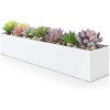 Modern White Rectangle Planter Box | 16" Metal Planter Perfect as a Succulent Planter | Narrow Planter Box for Table or Window Sill Planters Indoor | Rectangular Stainless Steel Long Planter