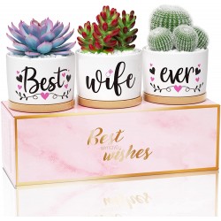 Mothers Day Gifts for Wife from Husband Romantic Wife Gifts Birhtday Gifts for Wife Pretty Anniversary Gifts for Wife Christmas Gifts Best Wife Ever Gifts Ceramic Succulent Pots for Plants Indoor