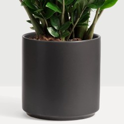 PEACH & PEBBLE 12’’ Black Classic Ceramic Planter. Plant Pot with Drainage Hole and Stopper for Indoor Plants and Succulents.