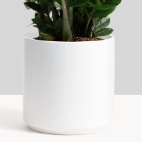 PEACH & PEBBLE 12’’ White Classic Ceramic Planter. Plant Pot with Drainage Hole and Stopper for Indoor Plants and Succulents.