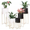 Ryosee Mid Century Planter with Gold Plant Stand Black and White Pot with Foldable Stand Floor Planter for Indoor Plants Set of 6
