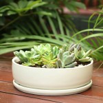 SQOWL 8 inch White Round Ceramic Succulent Planter Pot Modern Flower Cactus herb Big Planter with Removable Saucer Indoor or Outdoor