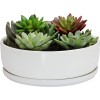 SQOWL 8 inch White Round Ceramic Succulent Planter Pot Modern Flower Cactus herb Big Planter with Removable Saucer Indoor or Outdoor