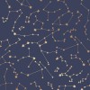 Novogratz x Tempaper Navy Constellations Removable Peel and Stick Wallpaper 20.5 in X 16.5 ft Made in the USA