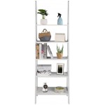 Ladder Shelf 5-Tier Multifunctional Modern Wood Plant Flower Book Display Shelf Home Office Storage Rack Leaning Ladder Wall Shelf White VS US